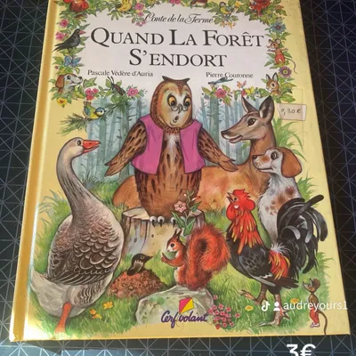 Quand la forêt s’endort 